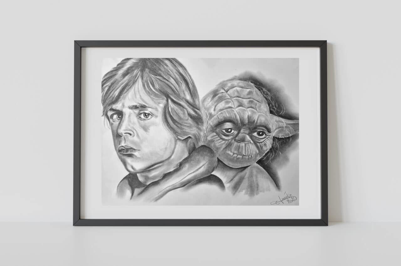portrait stars wars