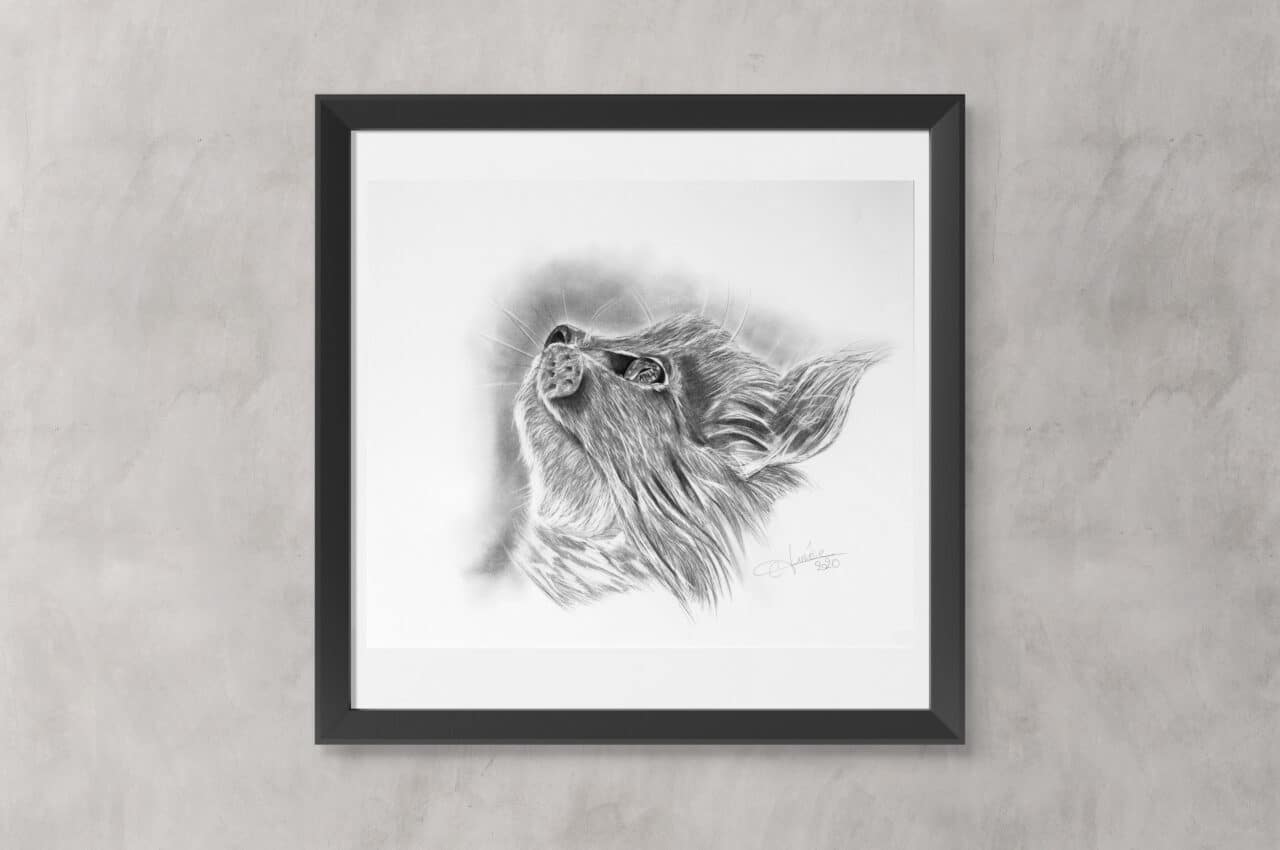 aurelie-ferrara-dessinatrice-chat