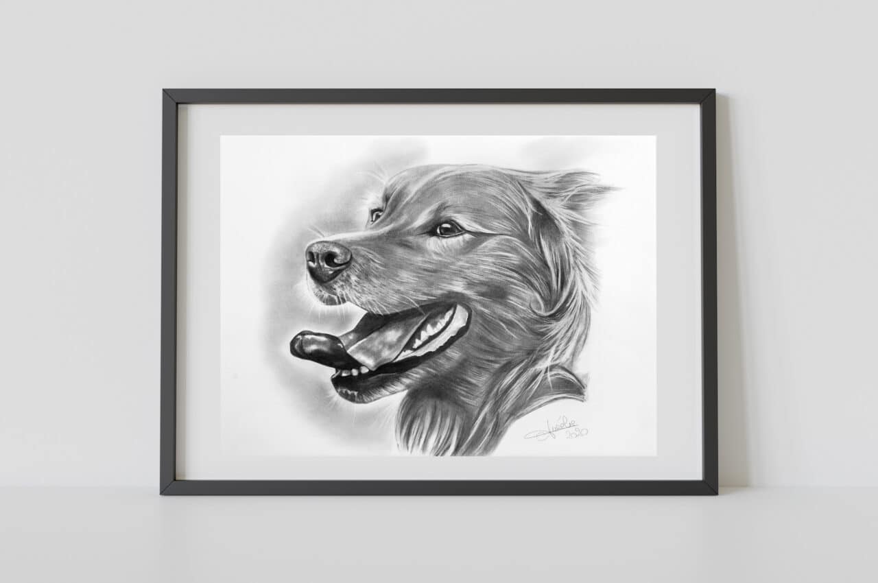 aurelie-ferrara-dessinatrice-chien-golden