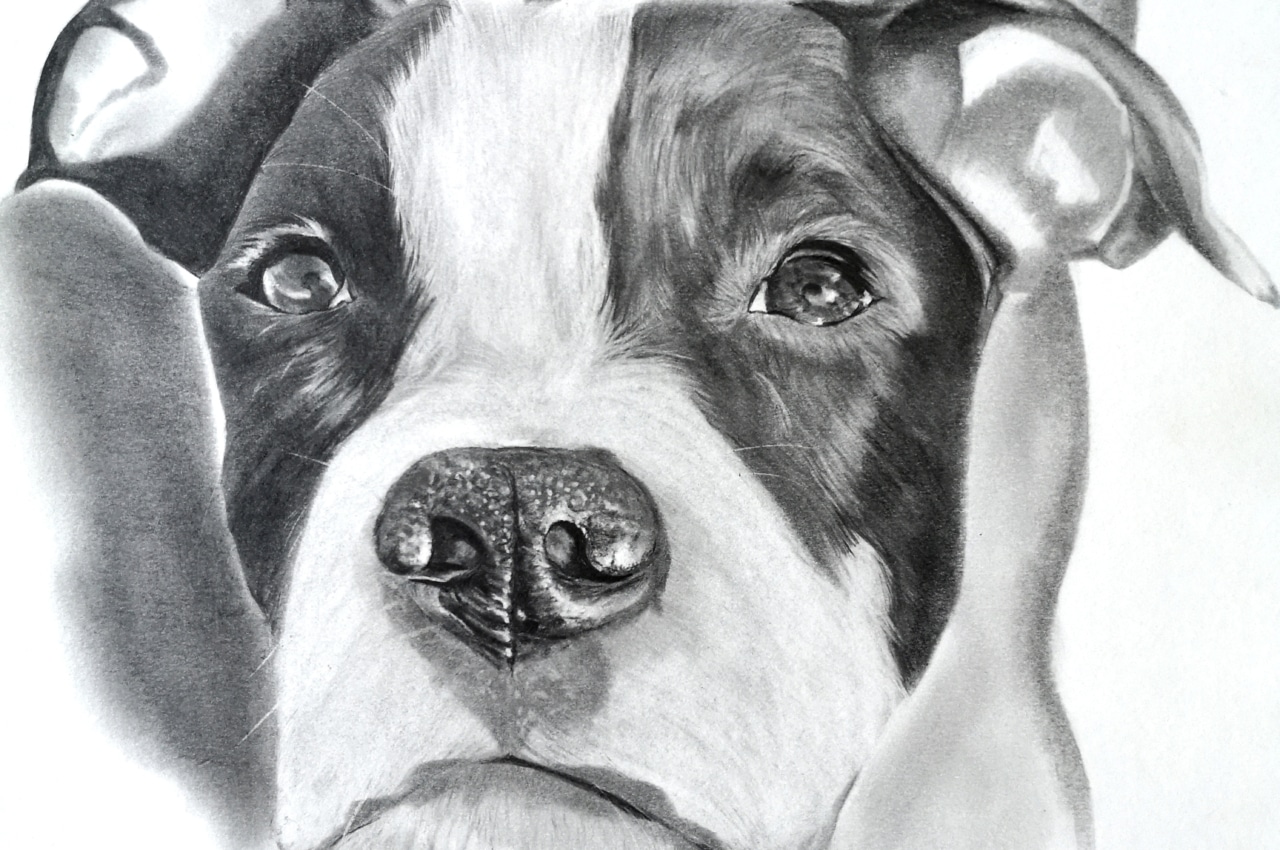 www.aurelieferrara.art