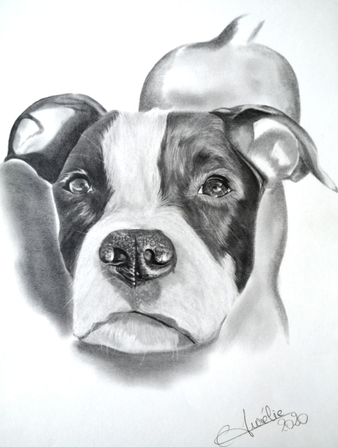 www.aurelieferrara.art