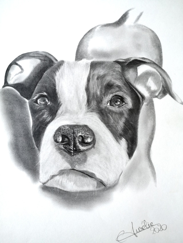 www.aurelieferrara.art