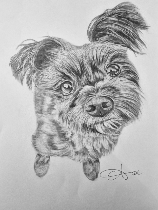 www.aurelieferrara.art